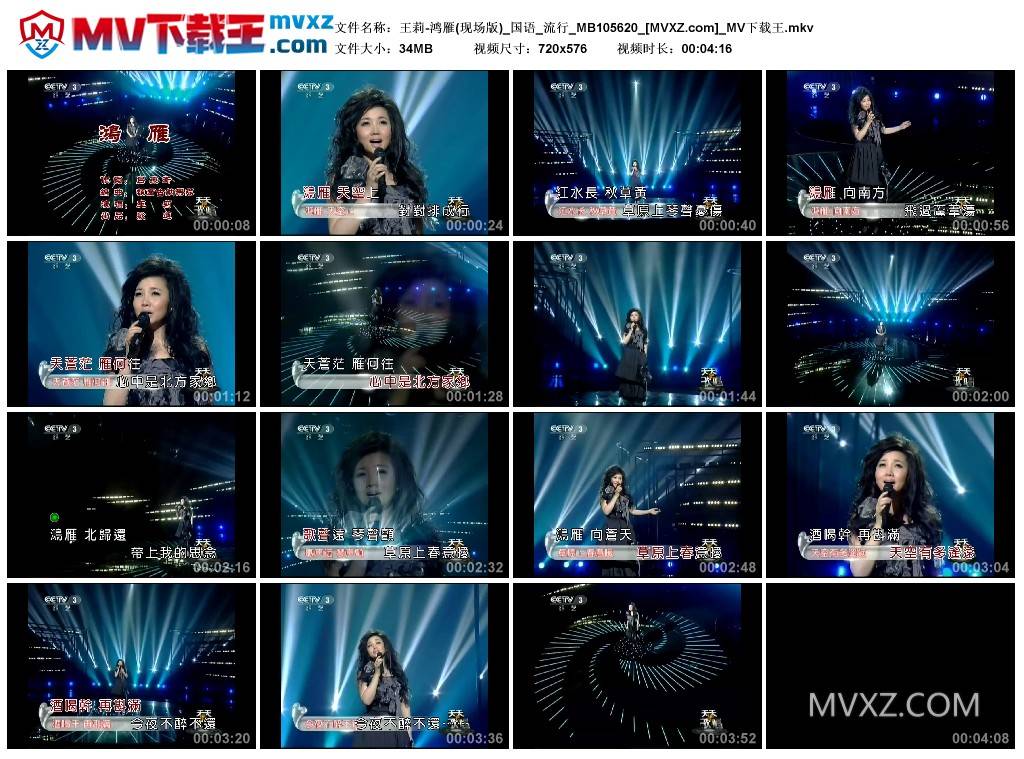 王莉-鸿雁(现场版)_国语_流行_MB105620